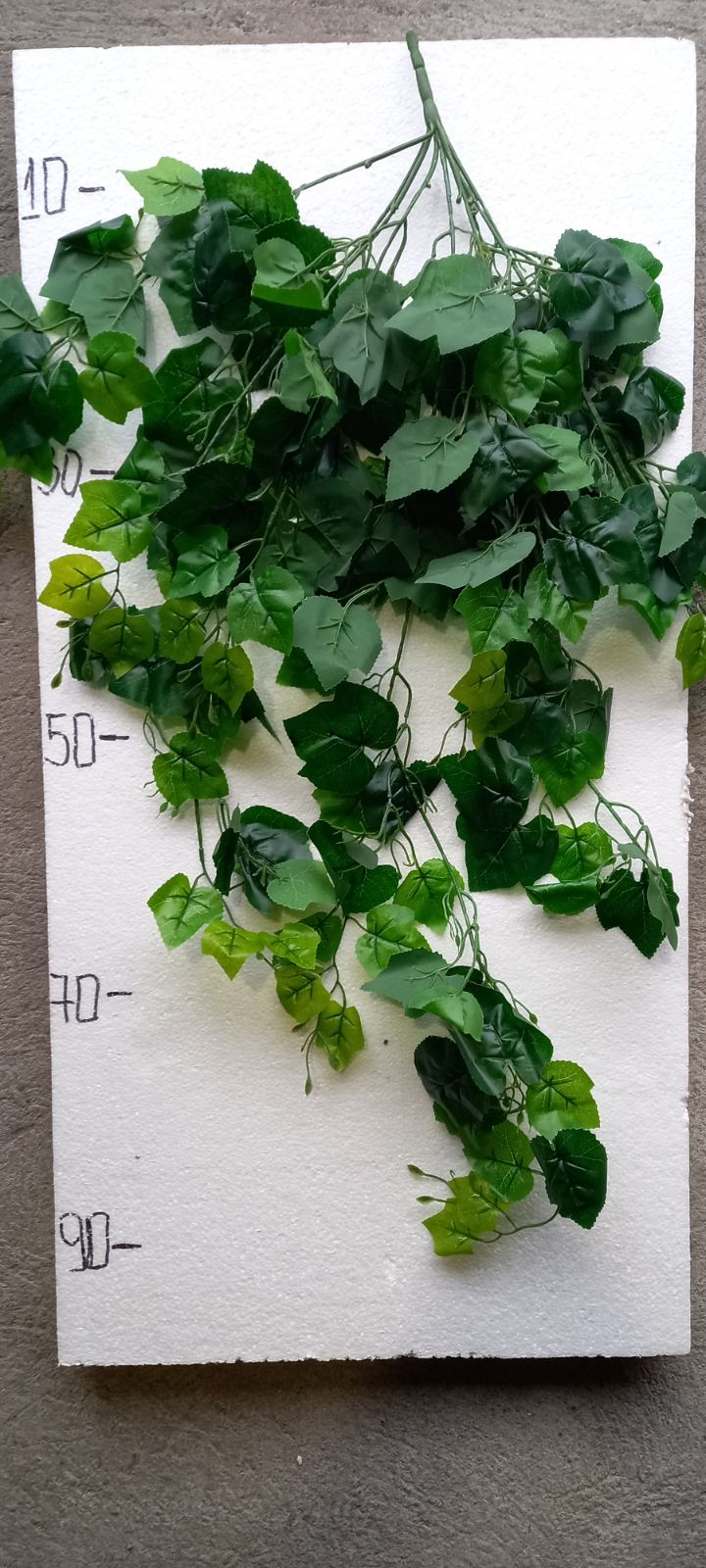 Висящи растения ― Baron.bg