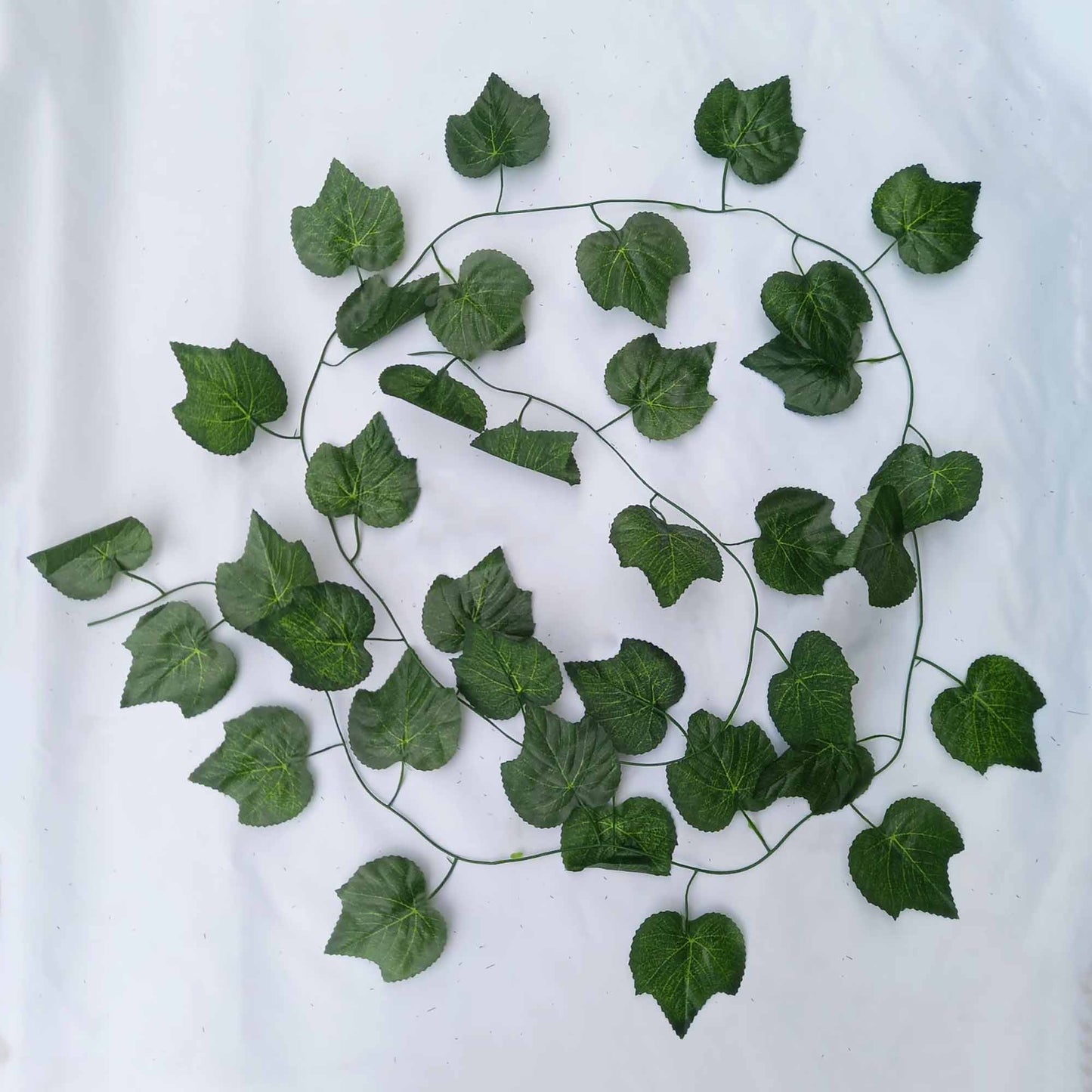 Висящи растения ― Baron.bg