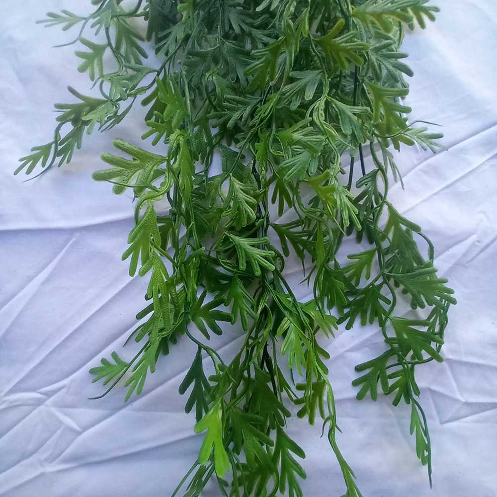 Висящо растение ― Baron.bg