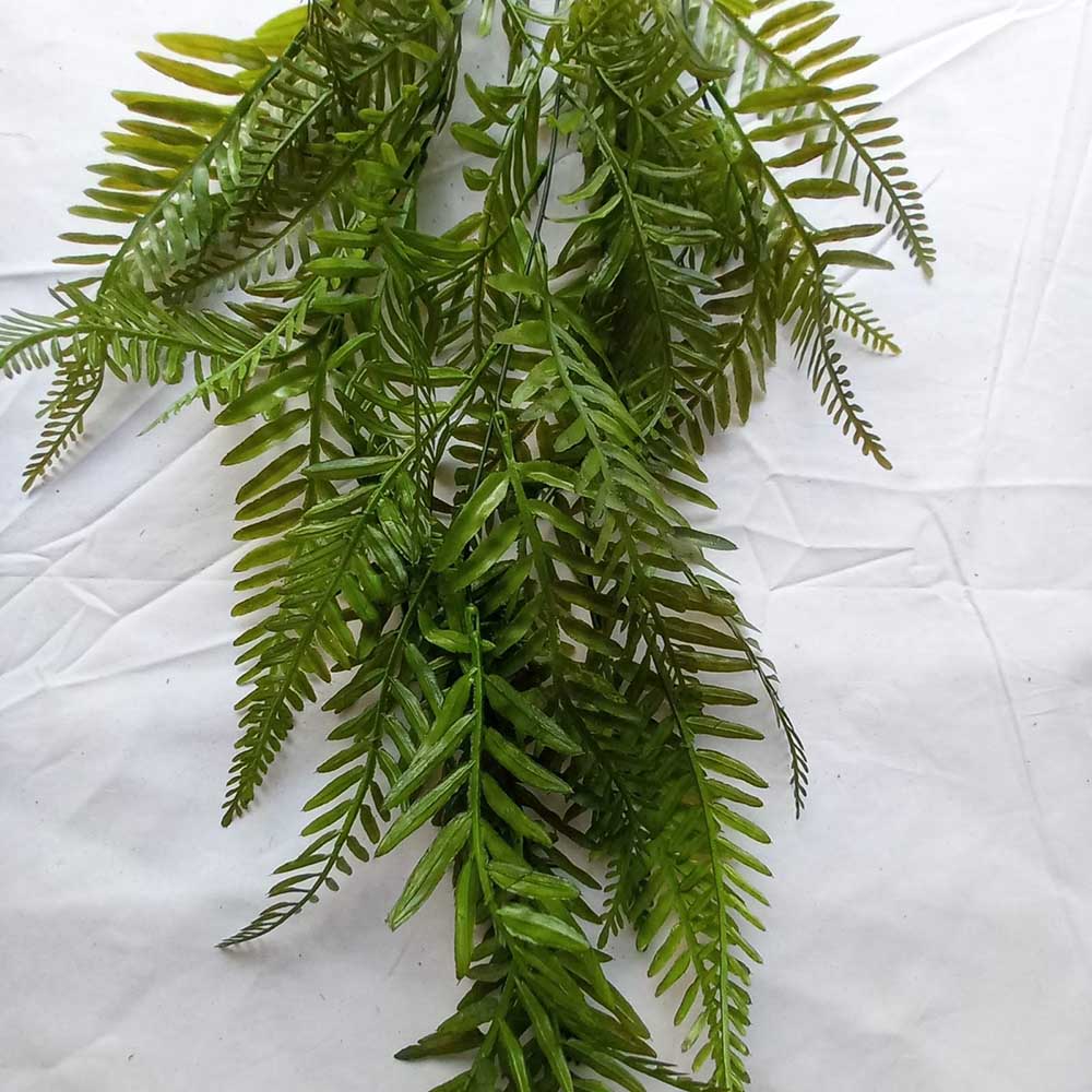 Висящо растение ― Baron.bg