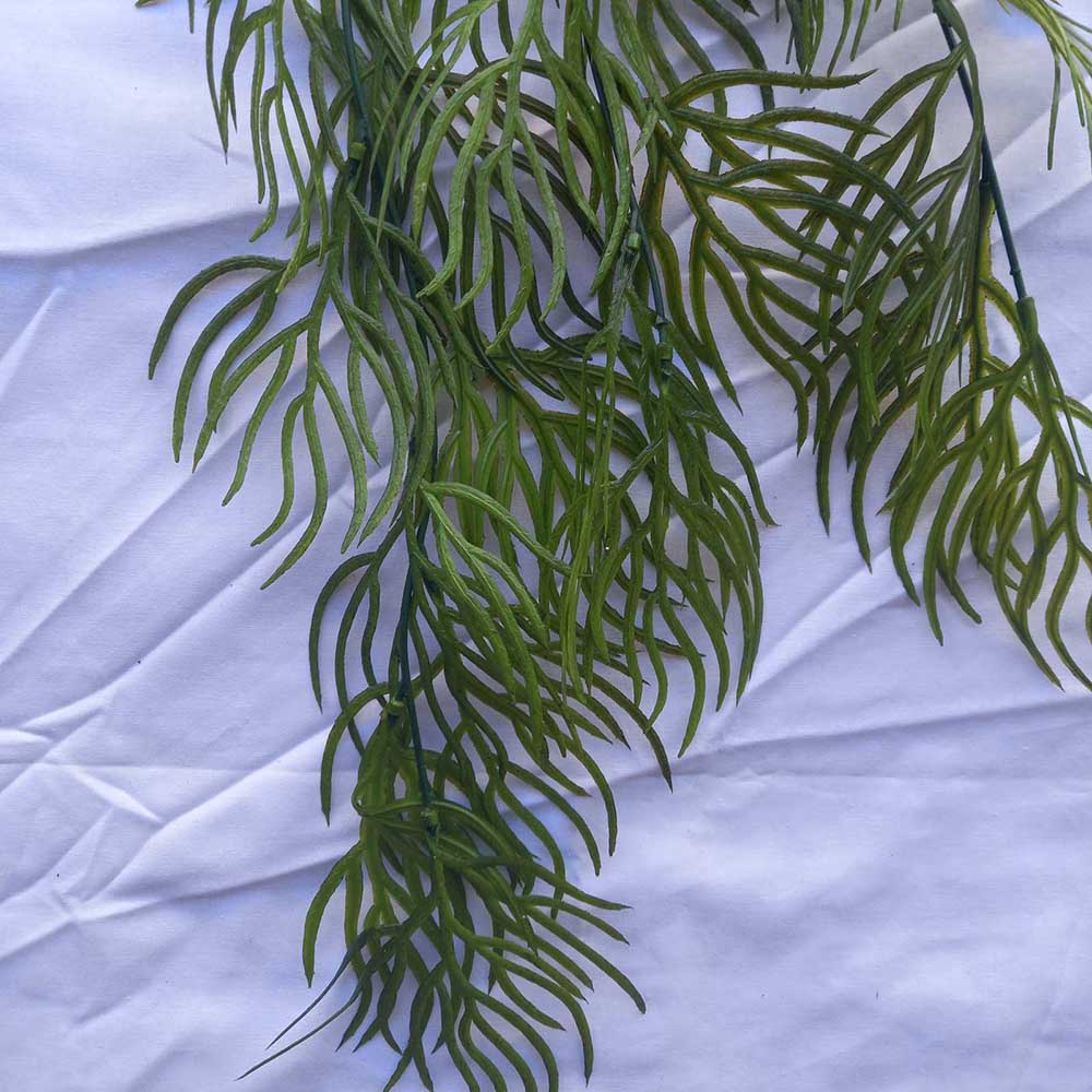 Висящо растение ― Baron.bg