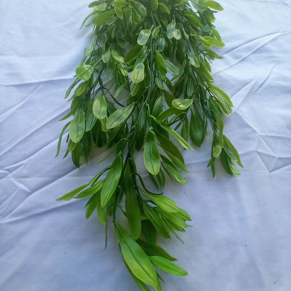 Висящо растение ― Baron.bg