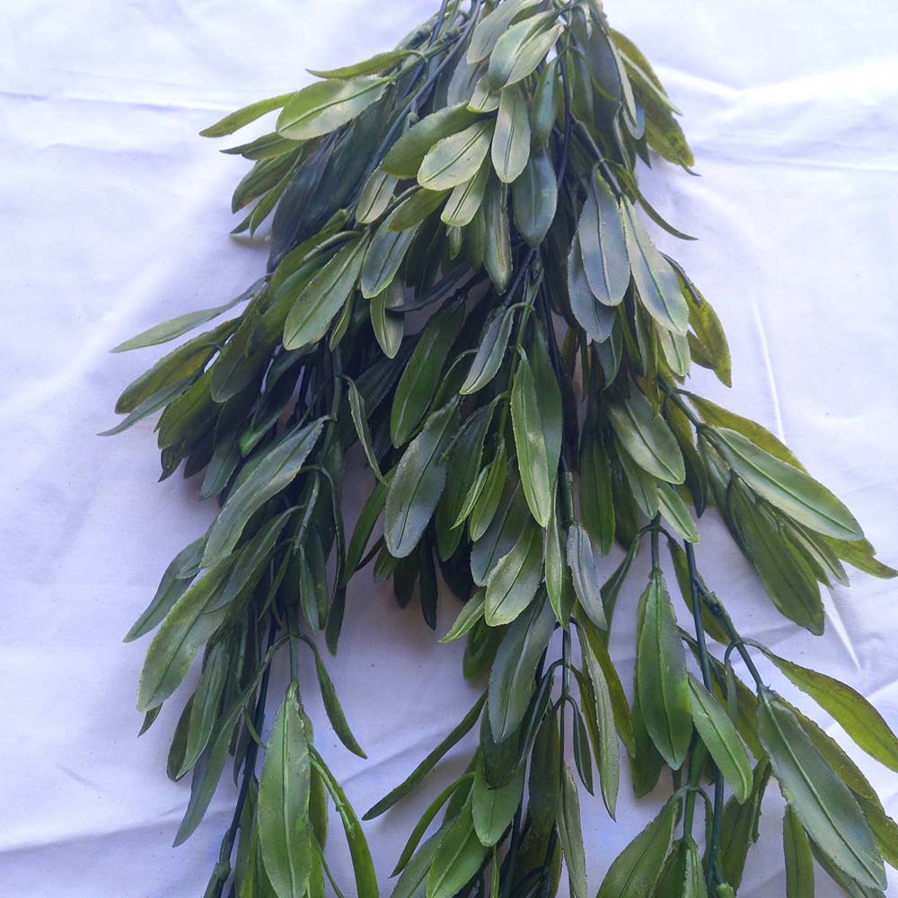 Висящо растение  ―  Baron.bg