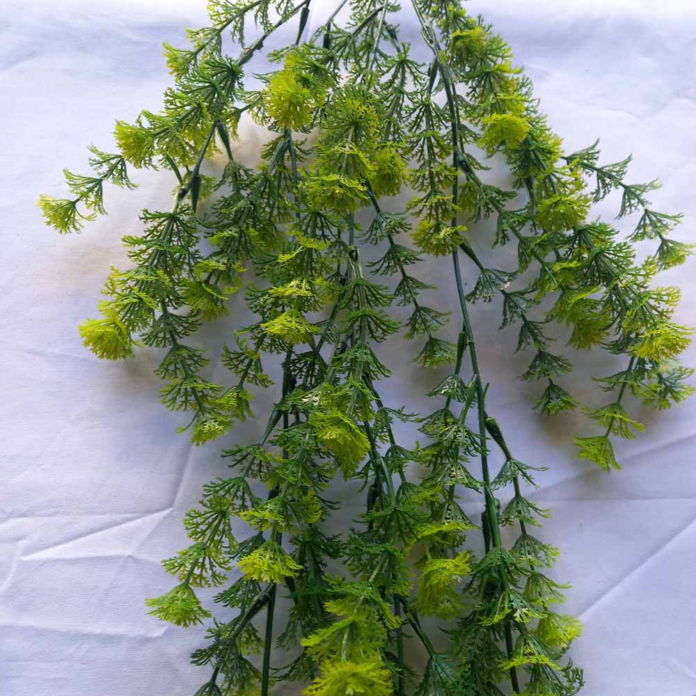 Висящо растение ― Baron.bg