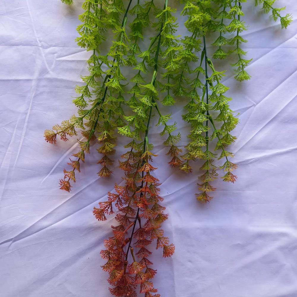 Висящо растение ― Baron.bg