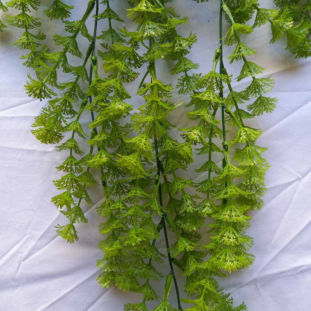 Висящо растение ― Baron.bg