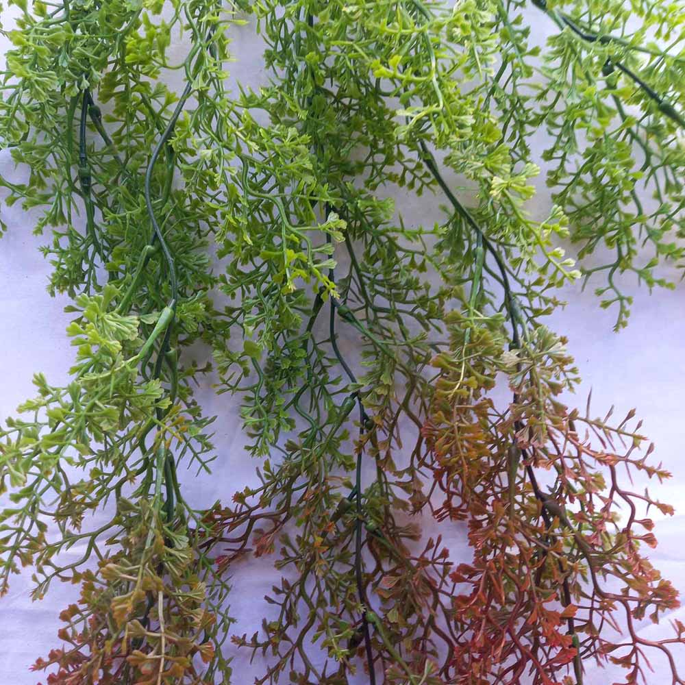 Висящо растение ― Baron.bg