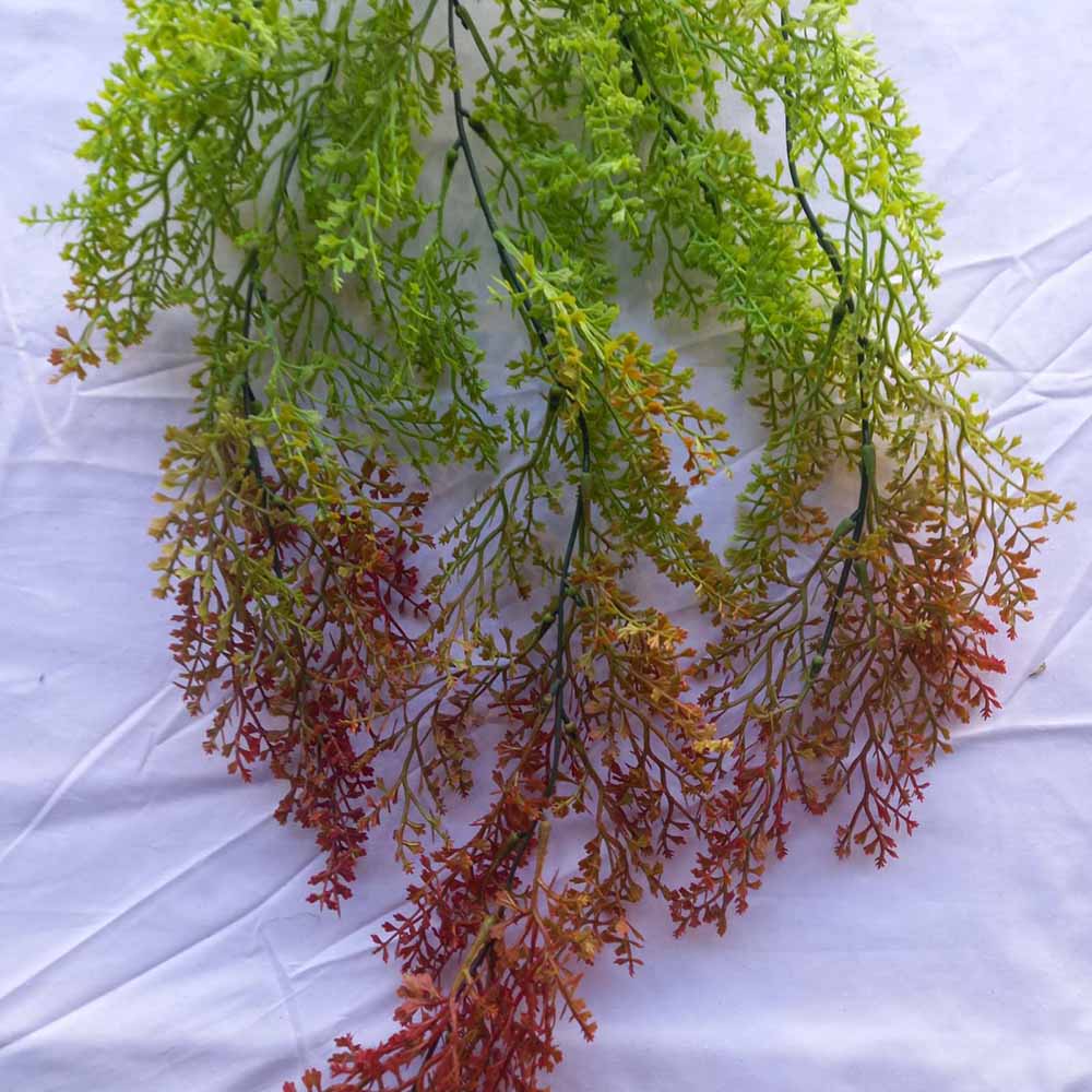 Висящо растение ― Baron.bg