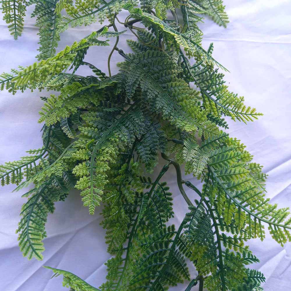 Висящо растение ― Baron.bg