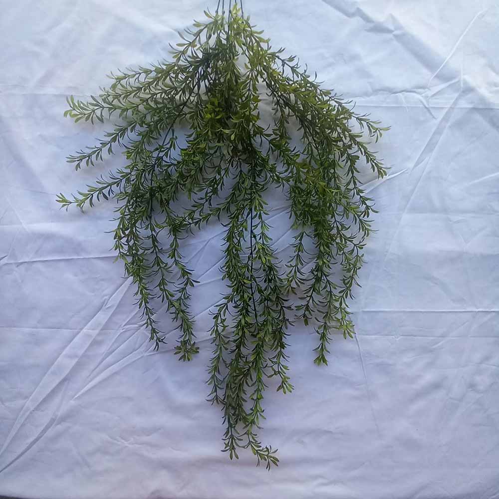 Висящо растение ― Baron.bg