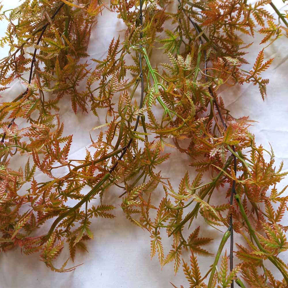 Висящо растение ― Baron.bg