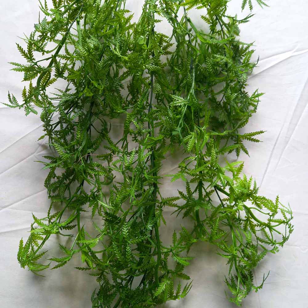 Висящо растение ― Baron.bg