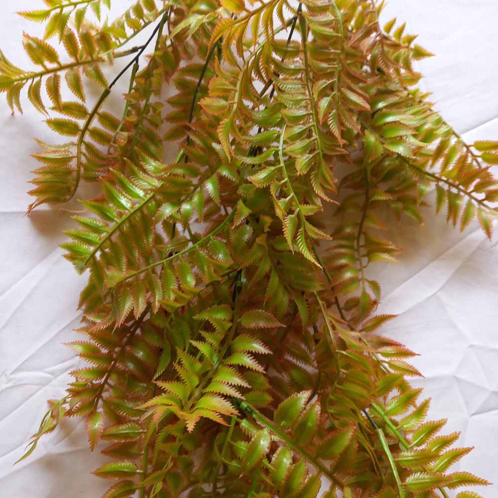 Висящо растение ― Baron.bg