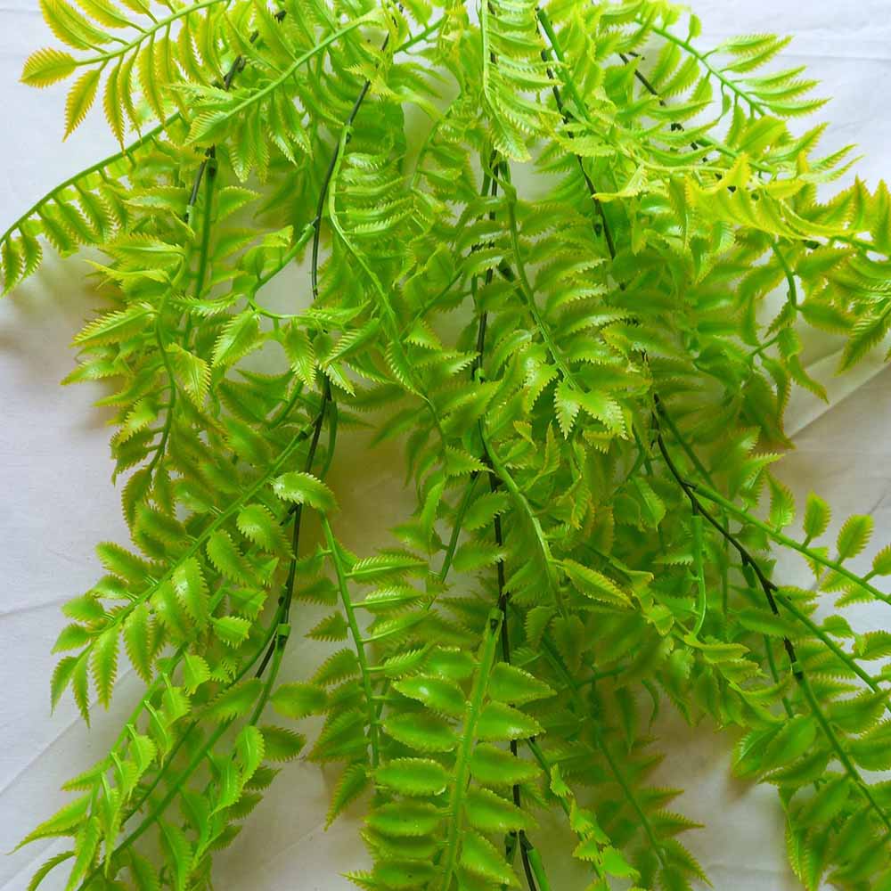 Висящо растение ― Baron.bg