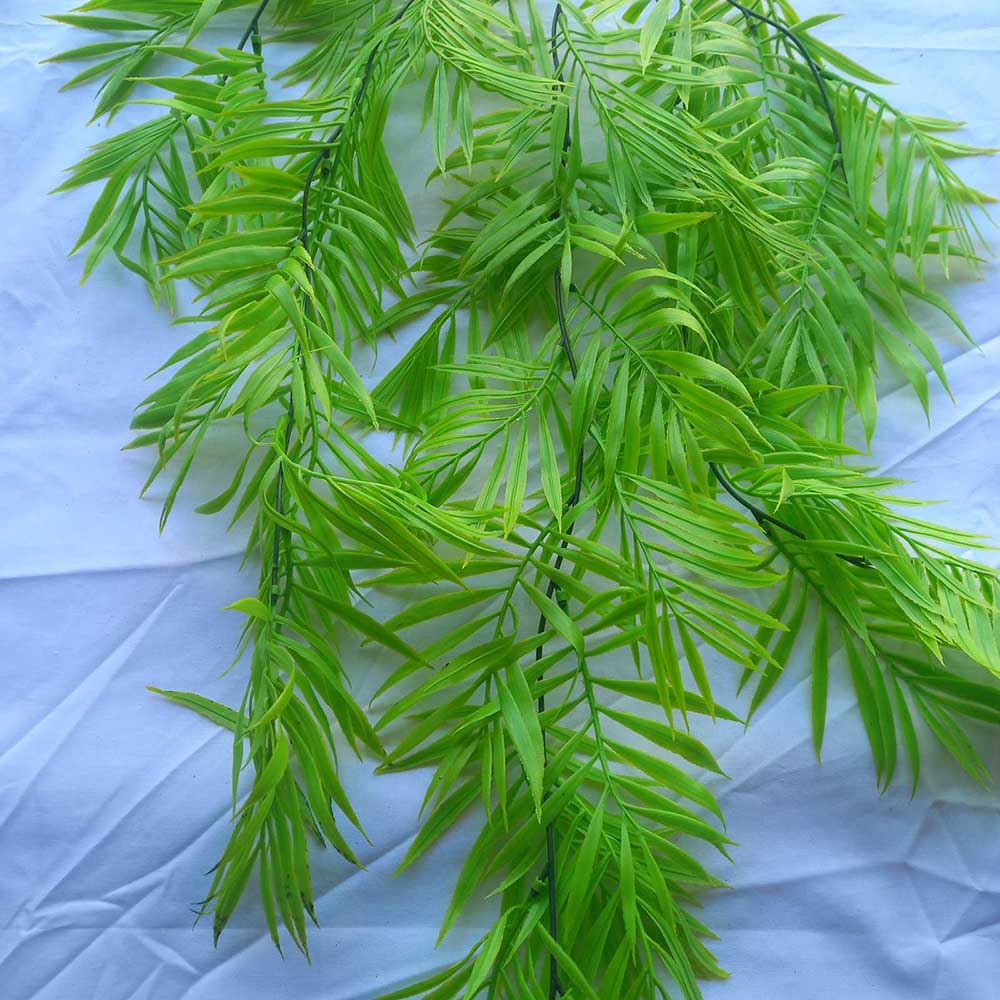 Висящи растения ― Baron.bg