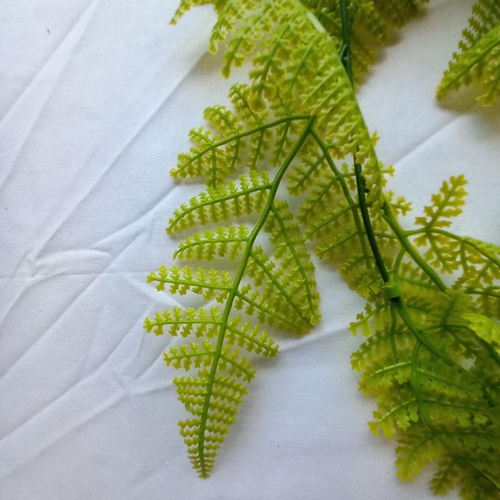 Висящи растения ― Baron.bg