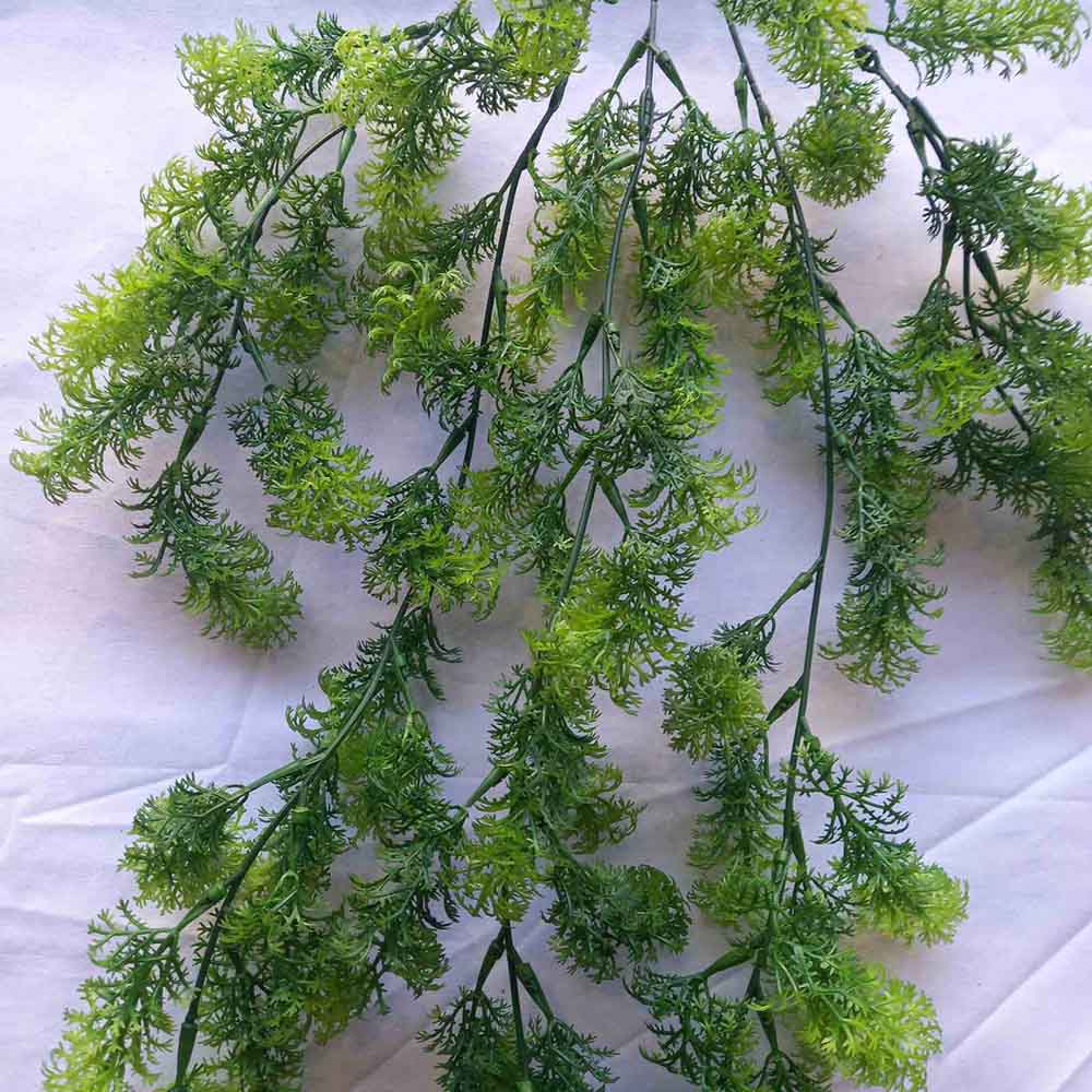 Висящи растения ― Baron.bg