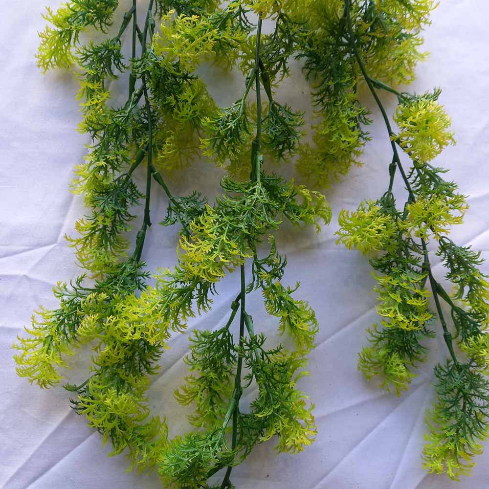 Висящи растения ― Baron.bg