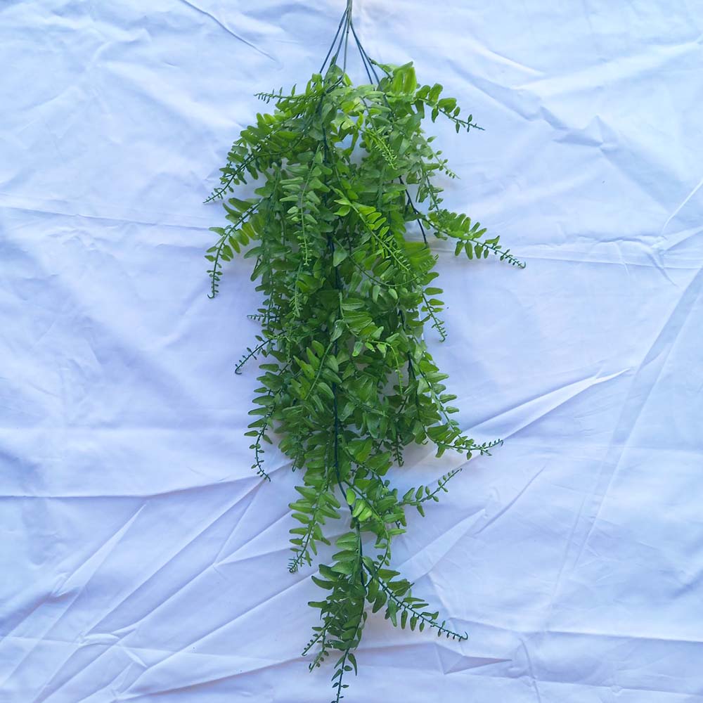 Висящи растения ― Baron.bg