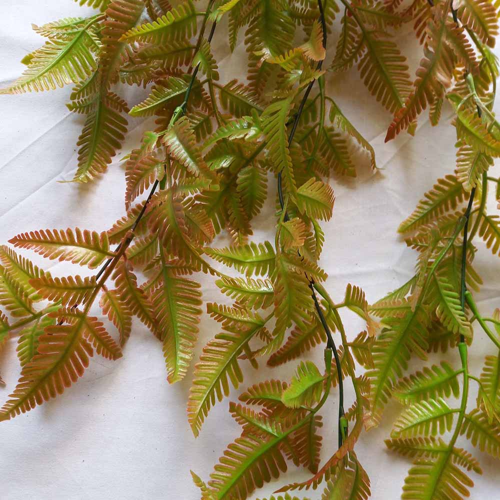 Висящи растения ― Baron.bg