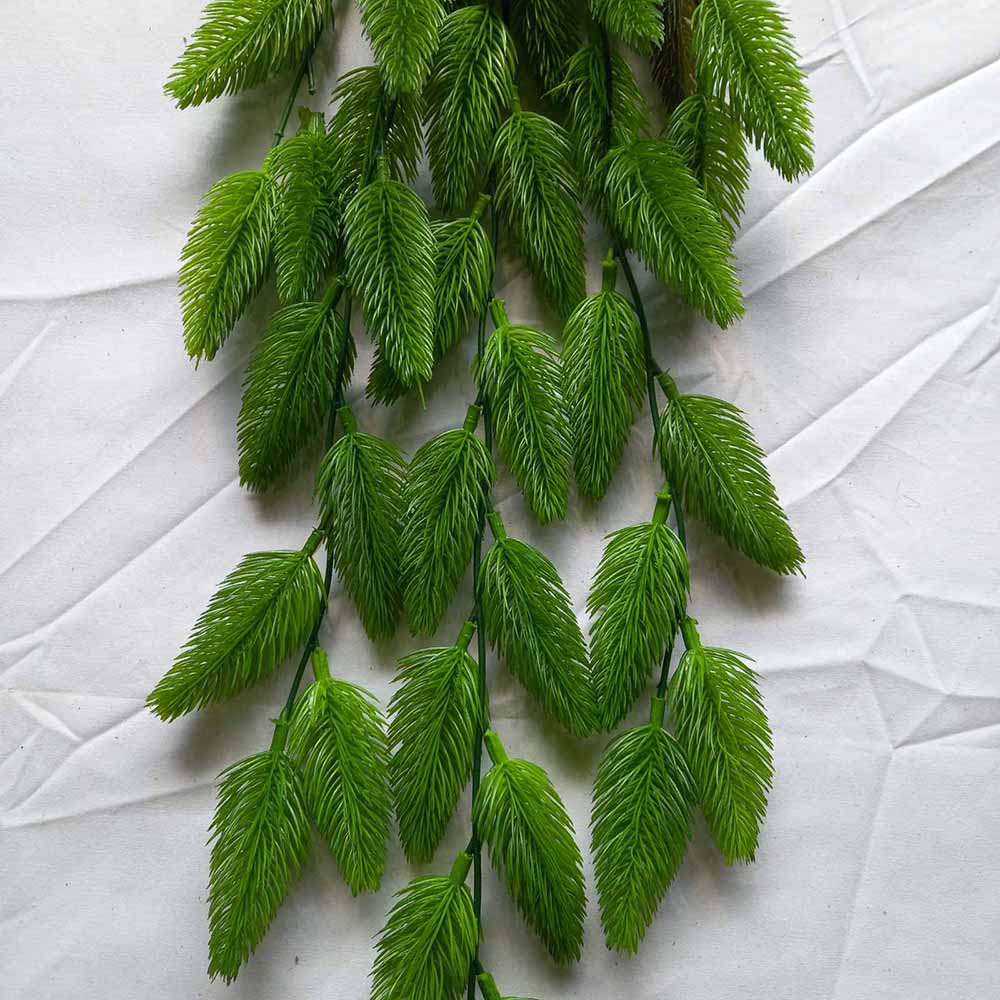 Висящи растения ― Baron.bg