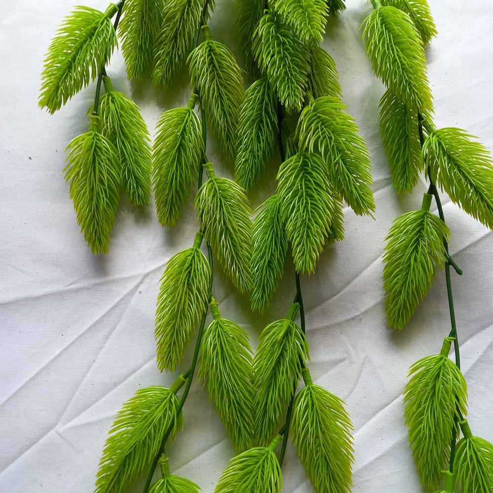 Висящи растения ― Baron.bg