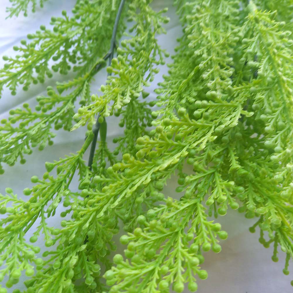 Висящи растения ― Baron.bg