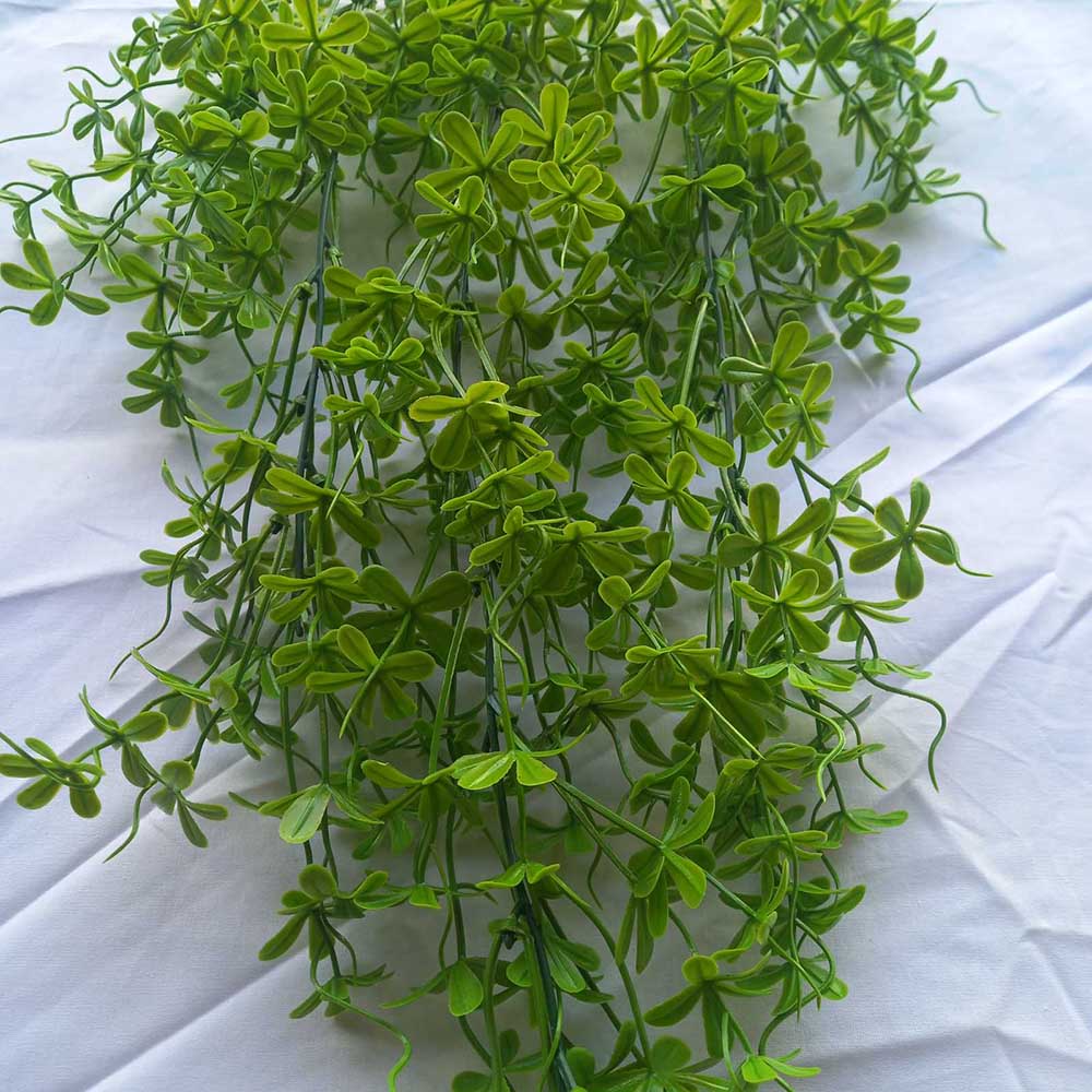 Висящи растения ― Baron.bg