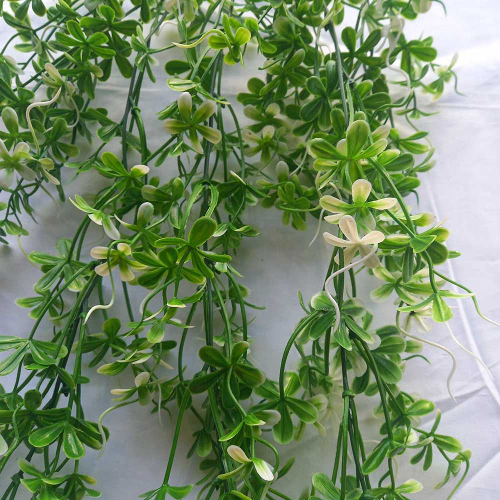 Висящи растения ― Baron.bg