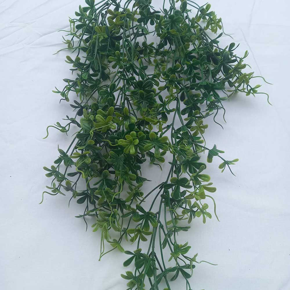 Висящи растения ― Baron.bg