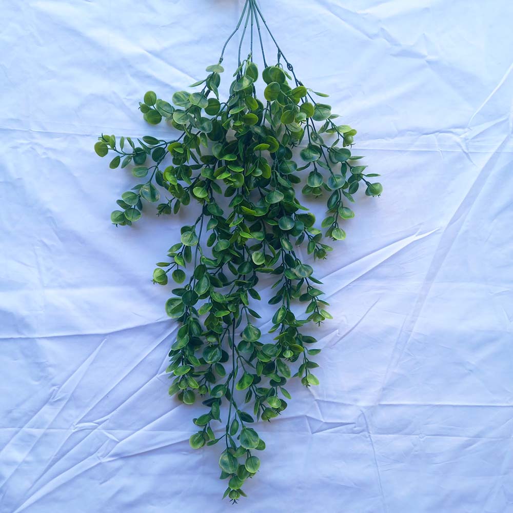 Висящи растения ― Baron.bg