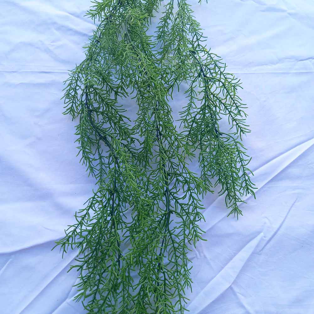 Висящи растения ― Baron.bg