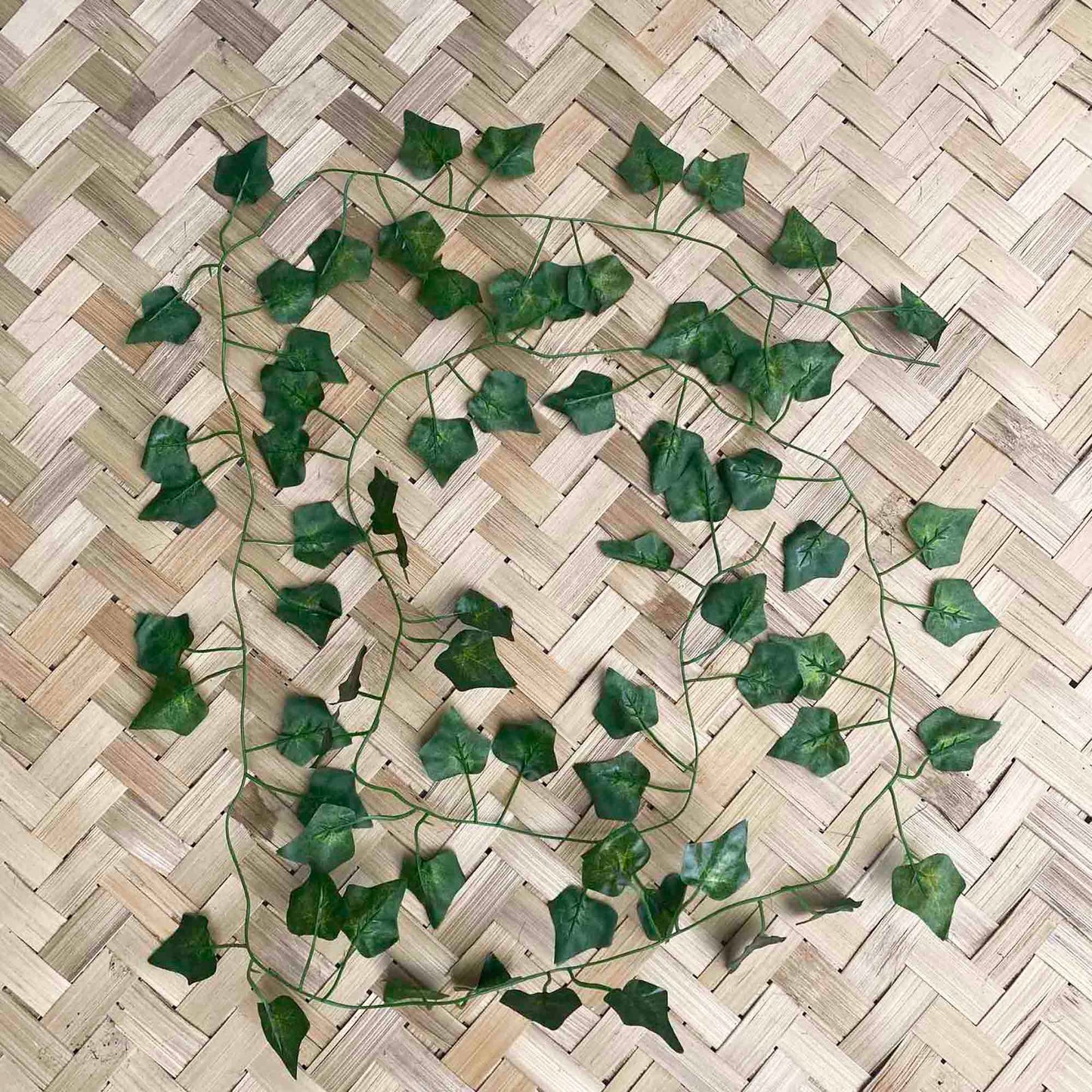 Увивни растения ― Baron.bg