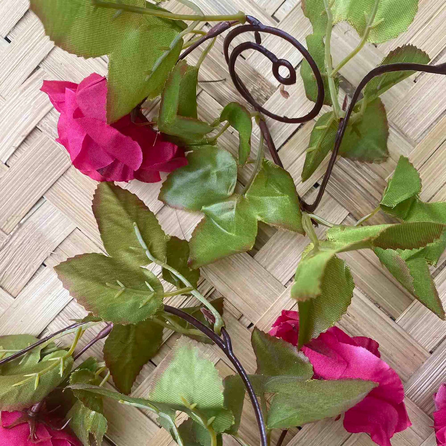 Увивни растения ― Baron.bg