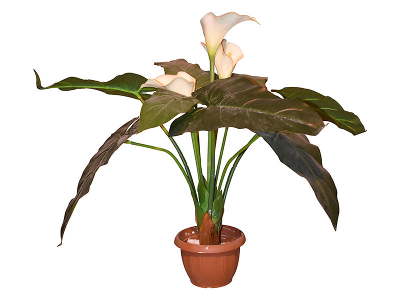 Изкуствена Бяла Кала ― Baron.bg