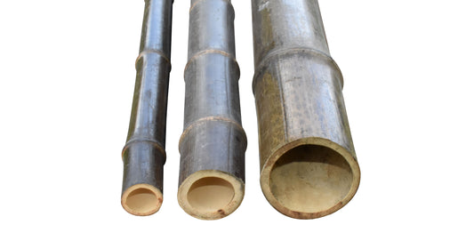 Черен бамбук на пръти