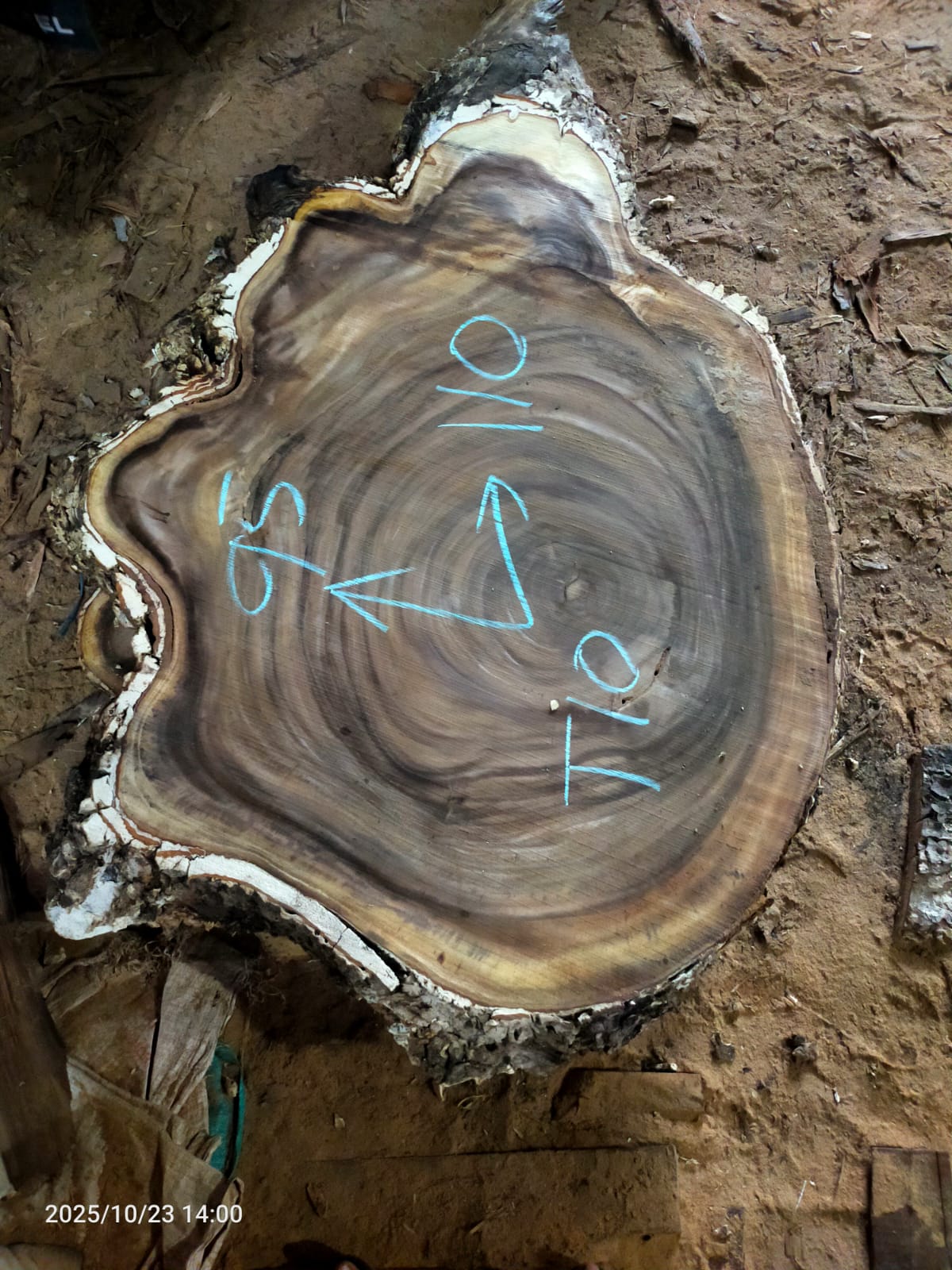 Дървена талпа от индунезийски Суар IS0017