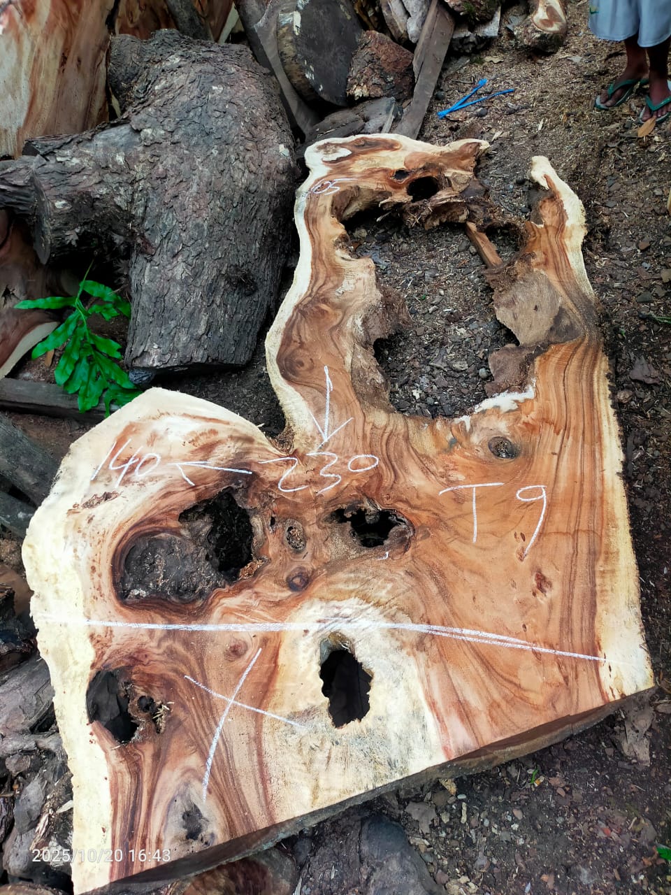 Дървена талпа от индунезийски Суар IS0022