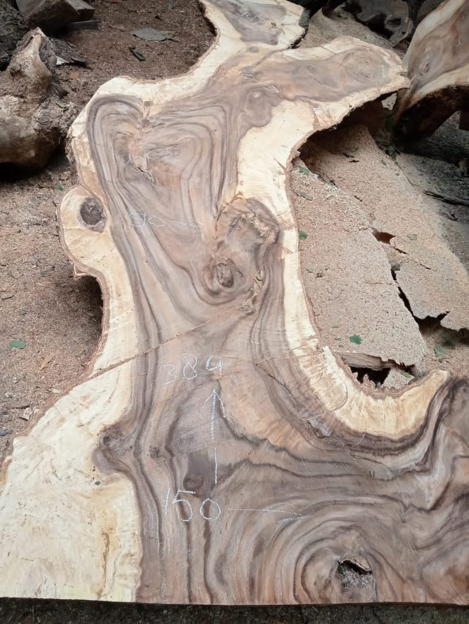 Дървена талпа от индунезийски Суар IS0025