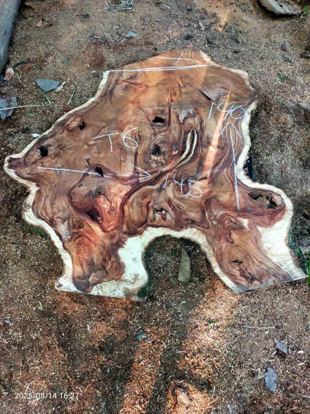 Дървена талпа от индунезийски Суар IS0012