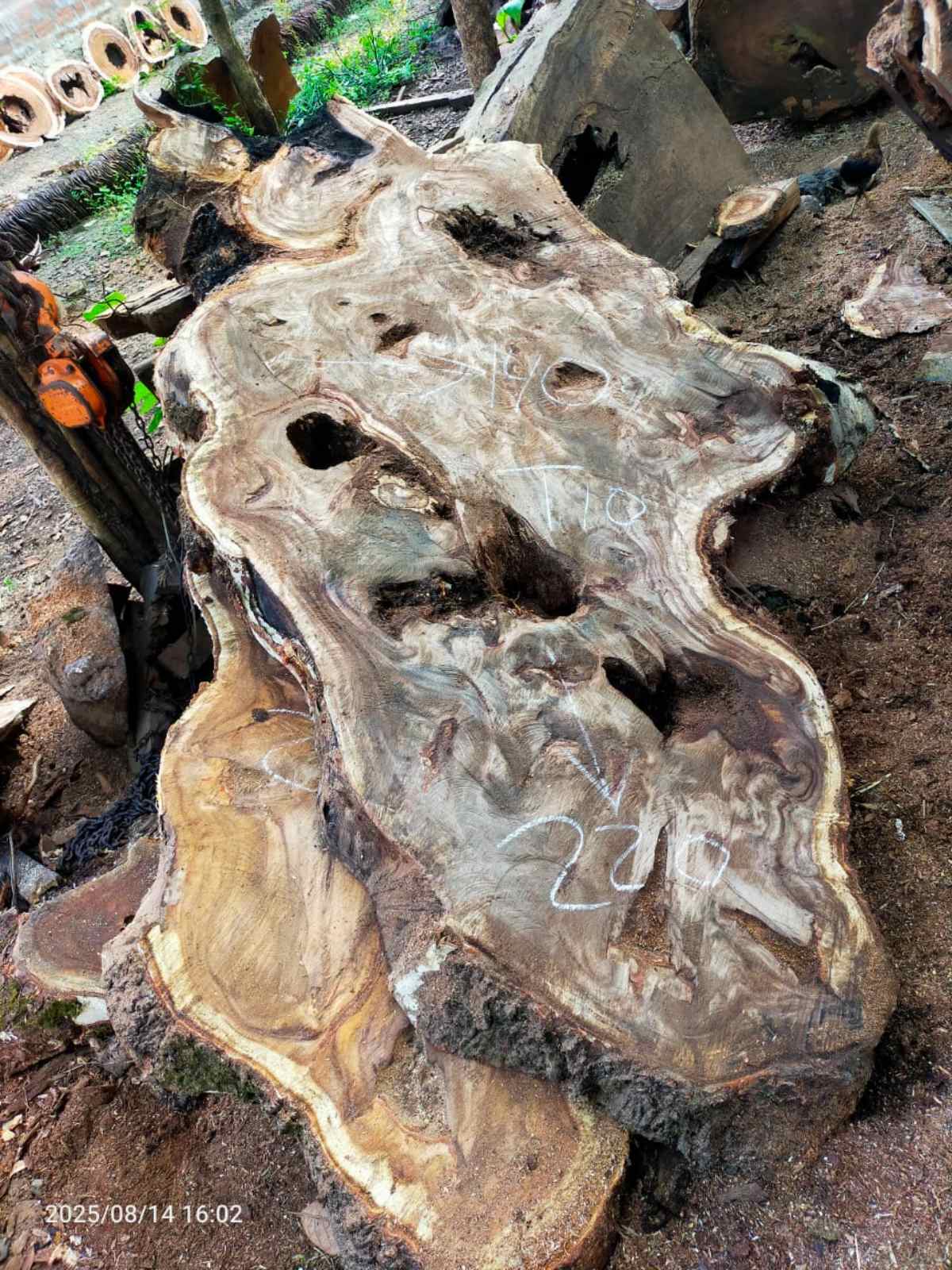 Дървена талпа от индунезийски Суар IS0010