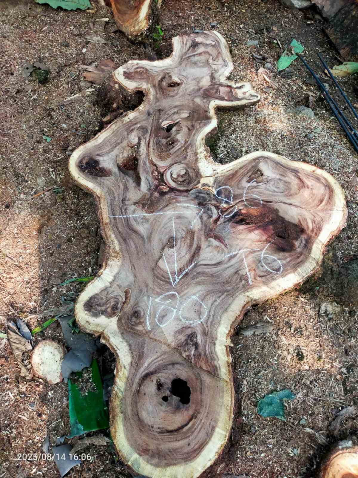 Дървена талпа от индунезийски Суар IS002