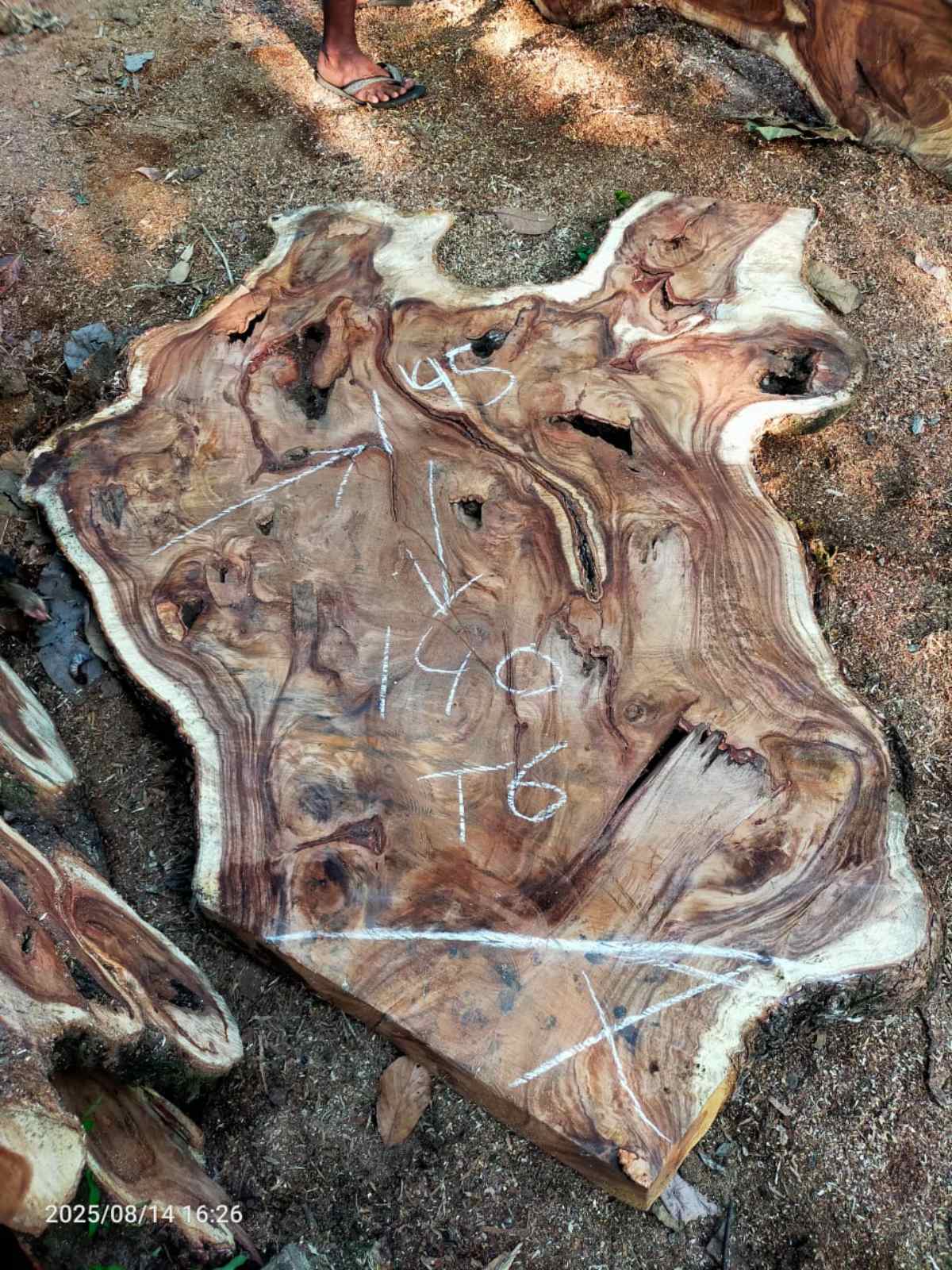 Дървена талпа от индунезийски Суар IS003