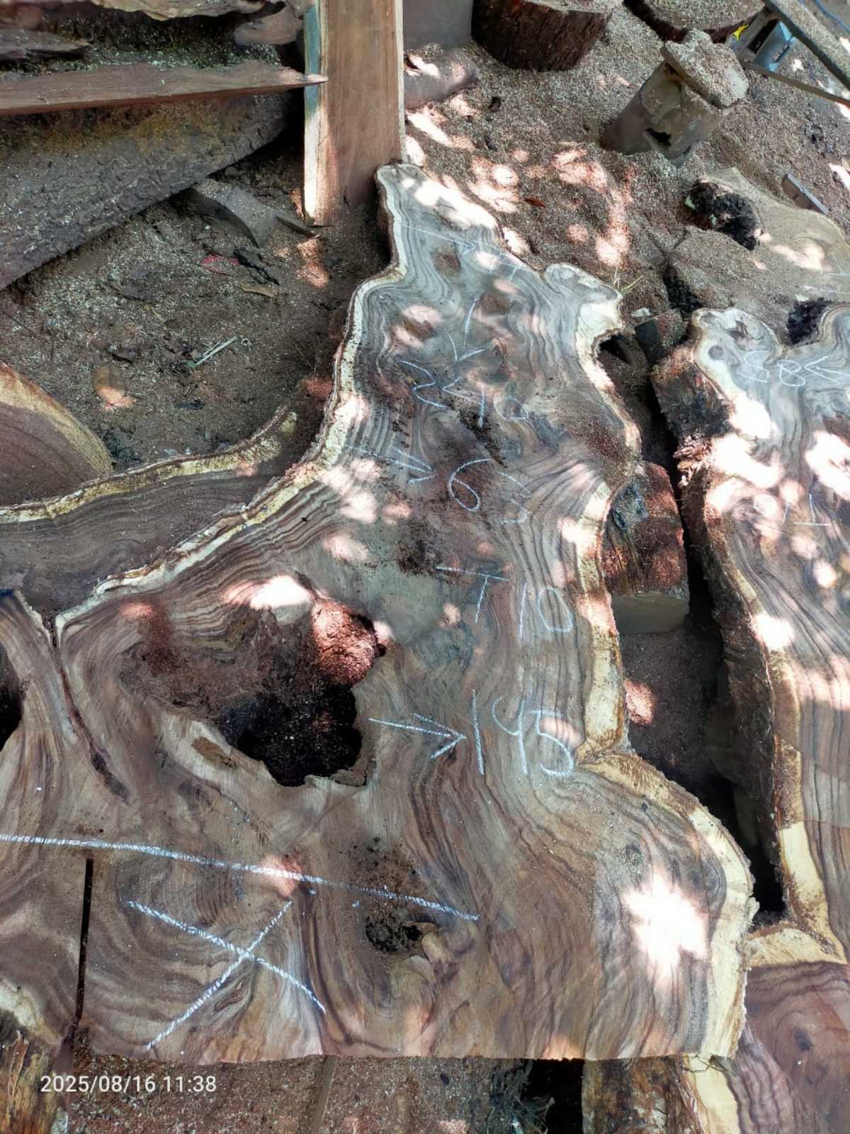 Дървена талпа от индунезийски Суар IS007