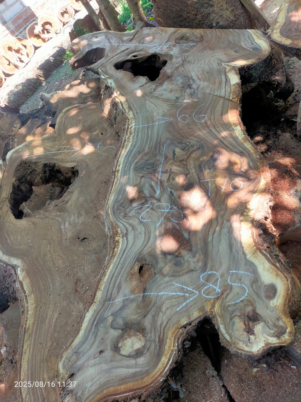 Дървена талпа от индунезийски Суар IS008