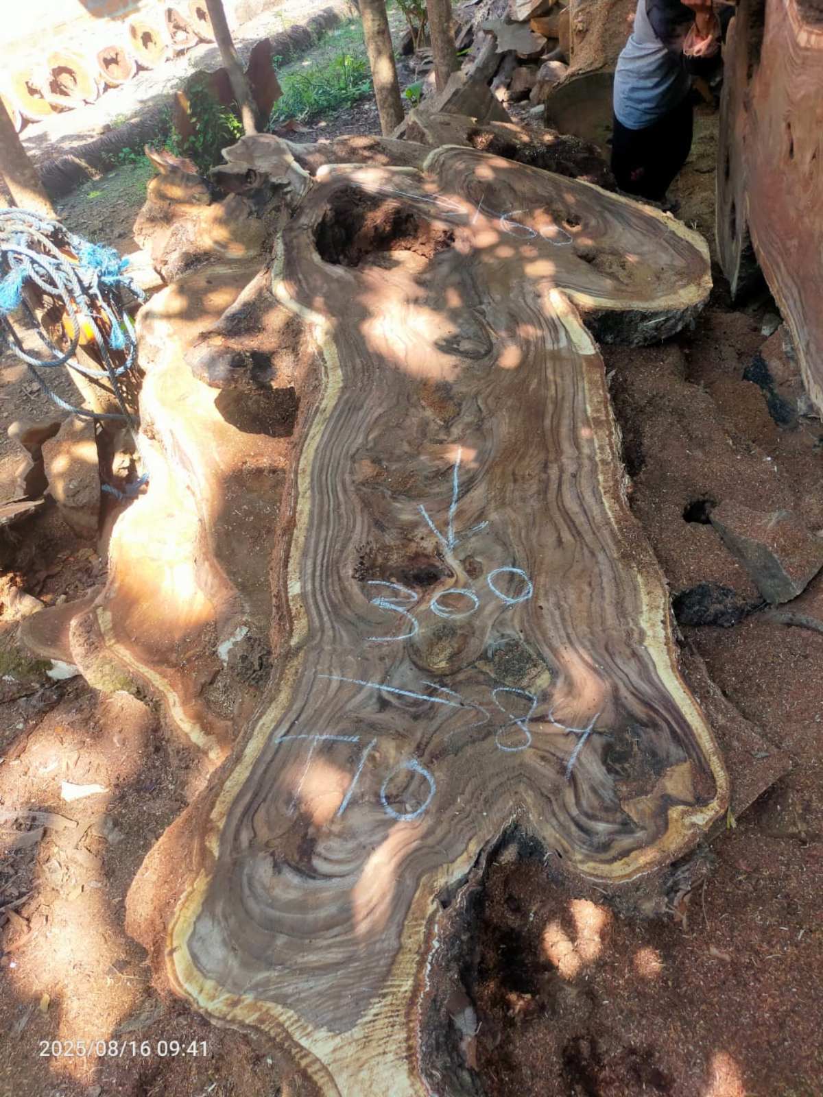 Дървена талпа от индунезийски Суар IS009