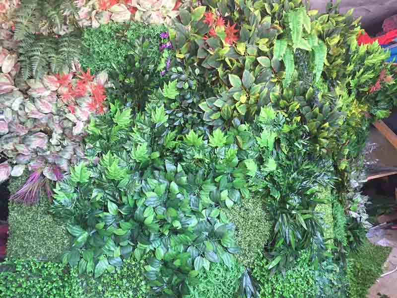 Вертикална градина Марина 032