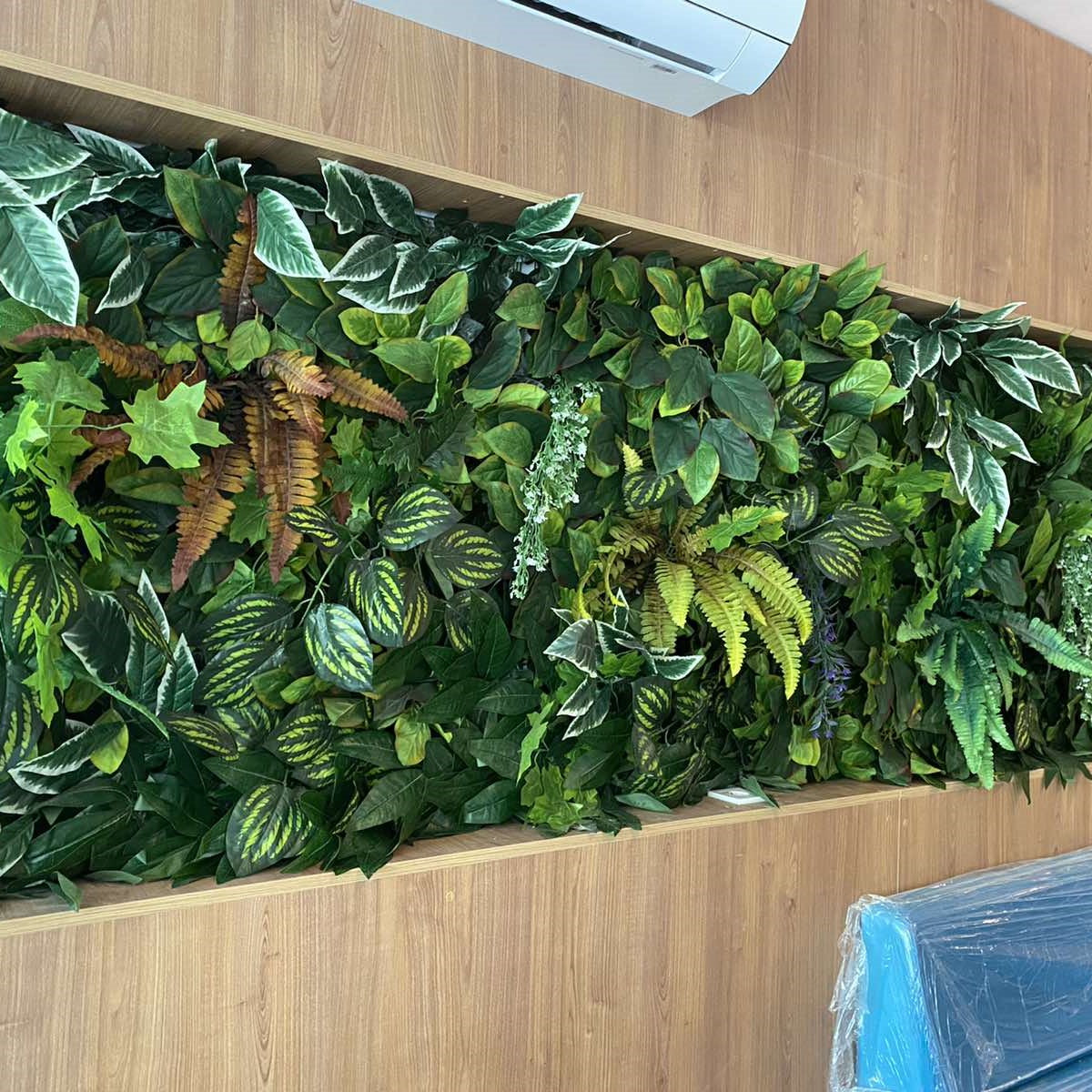 Зелени стени и аранжировка