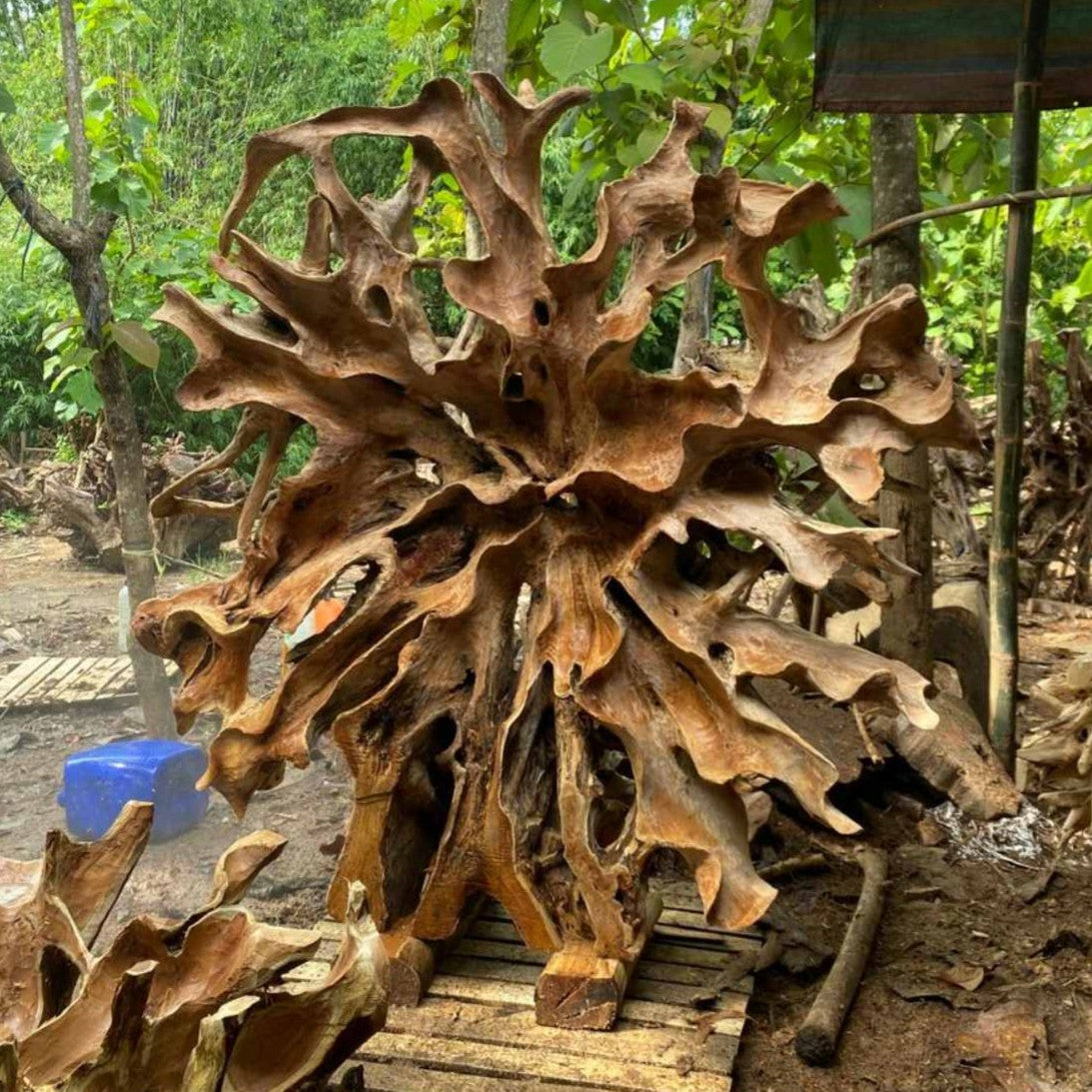 tik-koren-dekoraciya