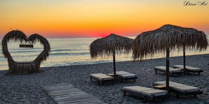 Luxury Beach Dolphin